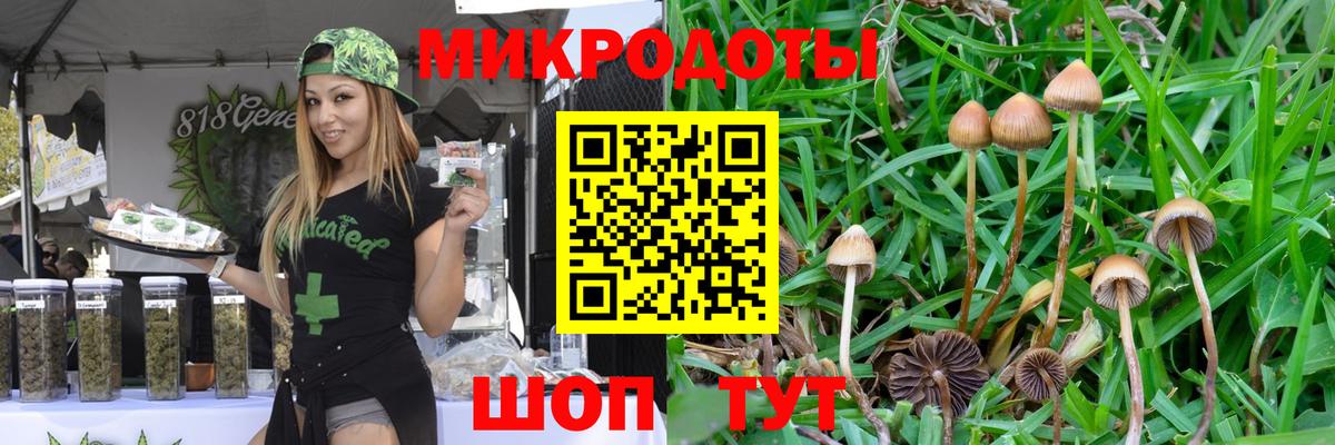 Галлюциногенные грибы MAGIC MUSHROOMS Саяногорск